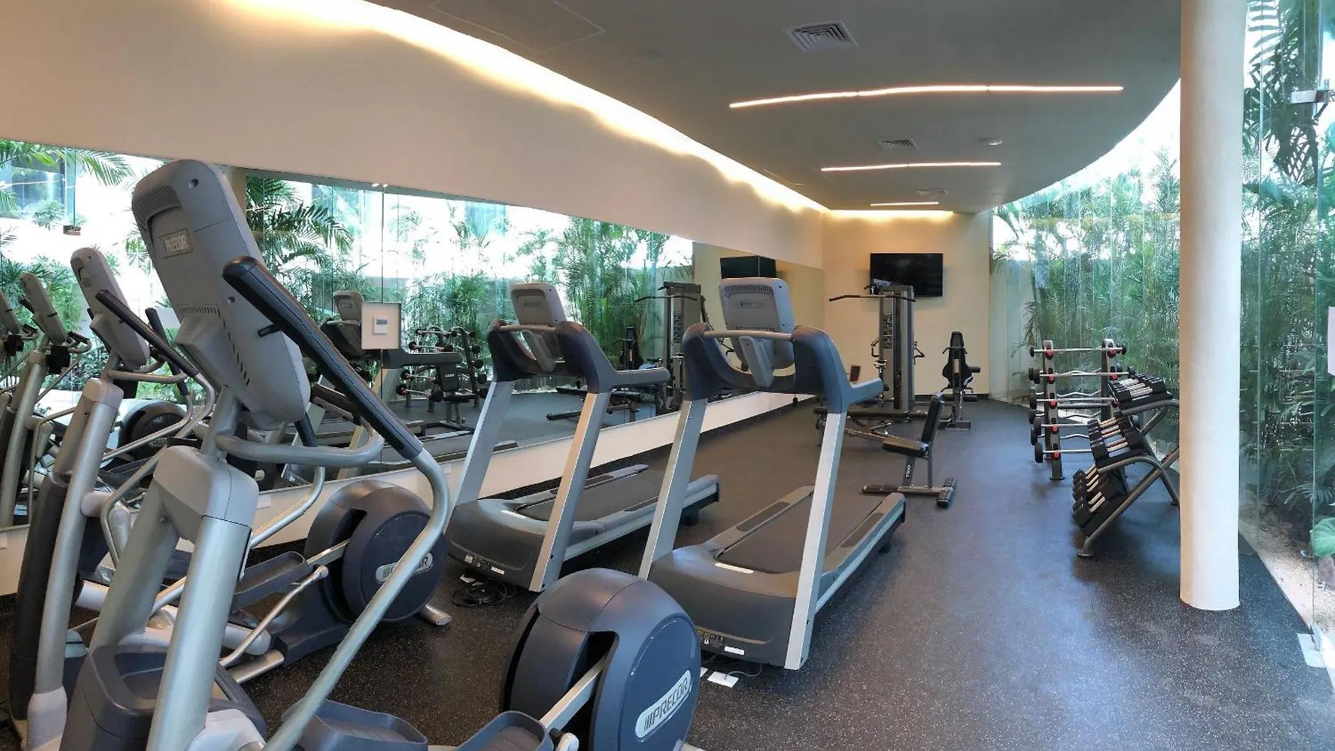 Apartment Habitacion Privada Riviera Maya, Playa Del Carmen!
